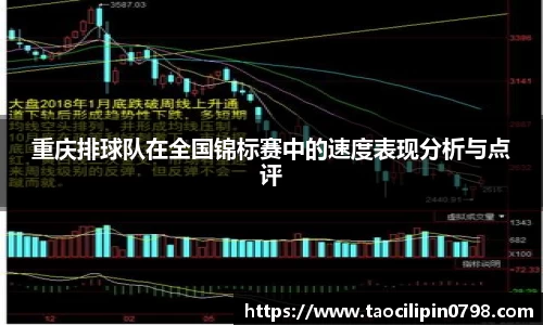 重庆排球队在全国锦标赛中的速度表现分析与点评